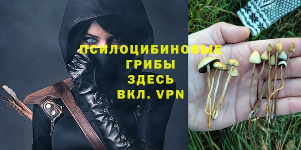 молекула духа Абдулино
