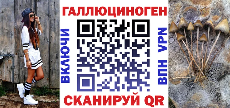 блэк спрут ONION  Сарапул  Псилоцибиновые грибы GOLDEN TEACHER 